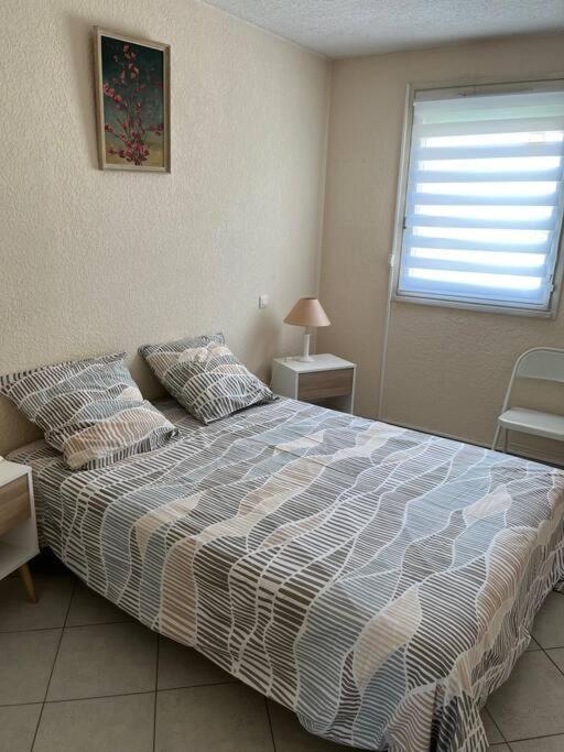 Spacieux Appartement, Grande Terrasse, Acces La Grande Motte